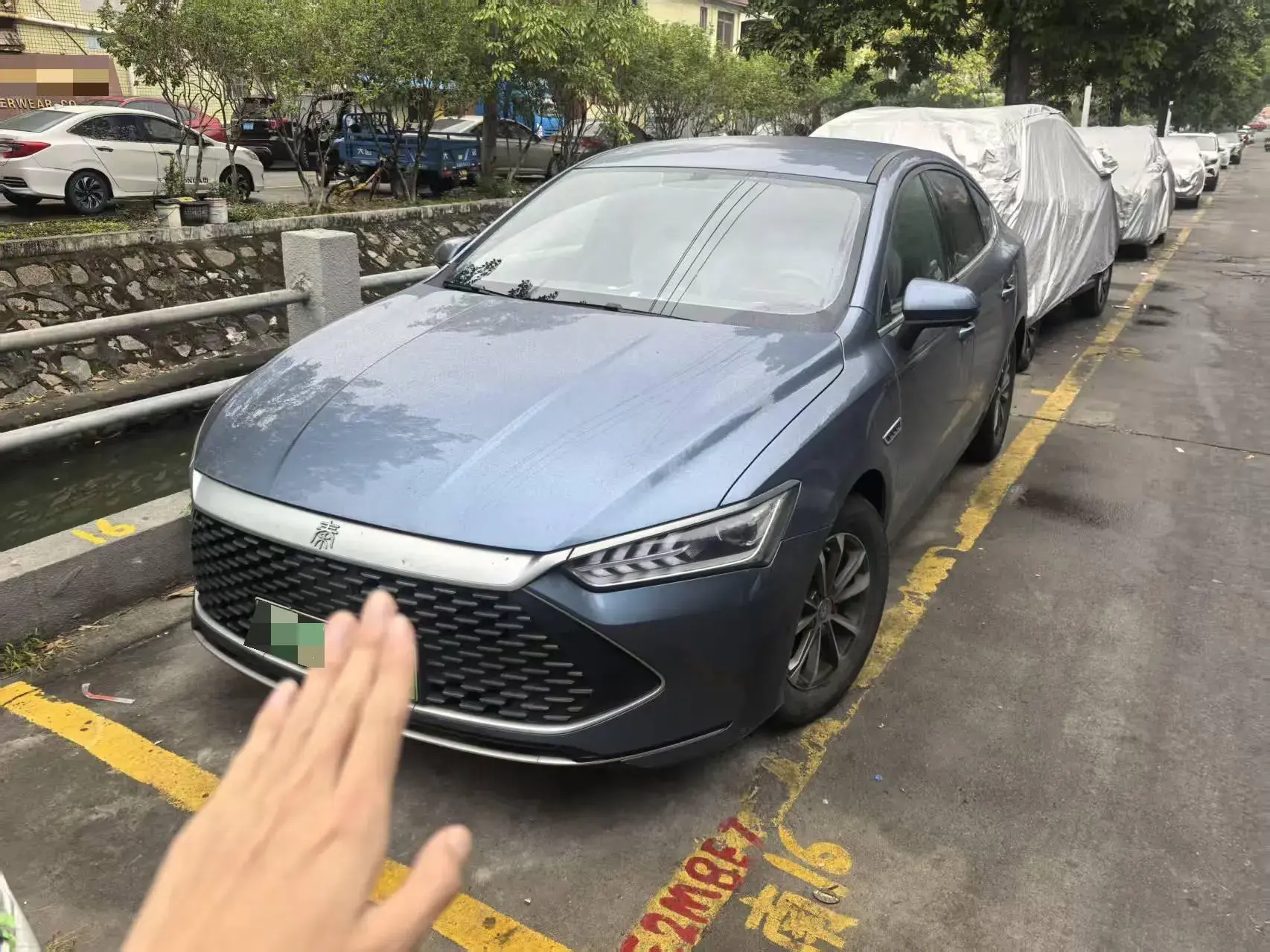 2024 BYD QIN view 1