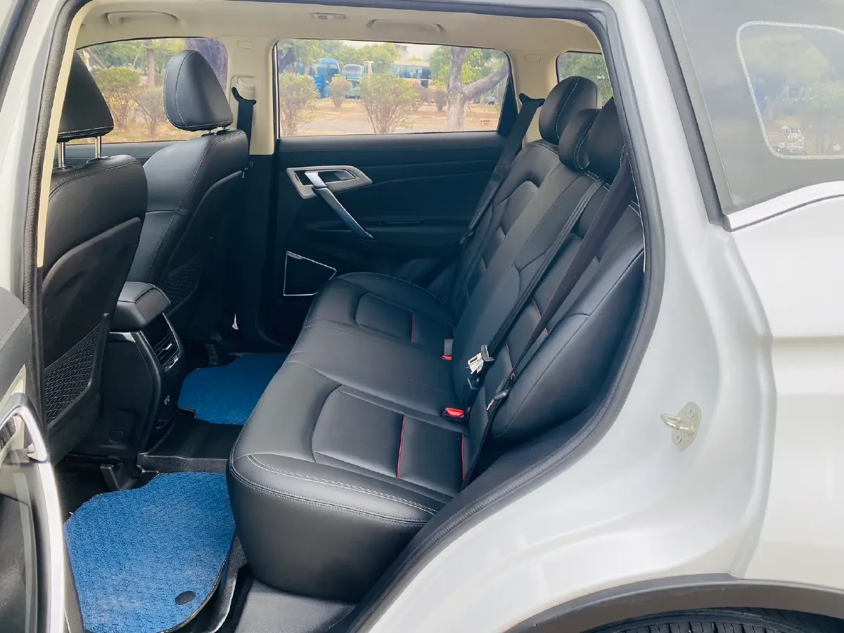 2020 Great Wall Poer 2.0T 163HP L4 8AT,autocango,china used car exporter,china ev exporter,chinese used car exporter,chinese used ev exporter