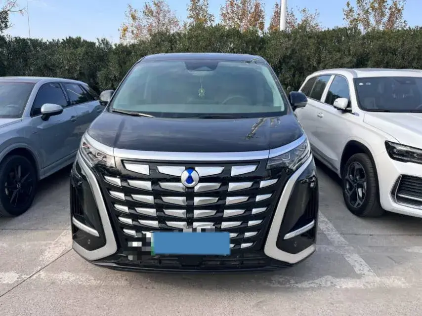 2022 DENZA D9 thumbnail 2