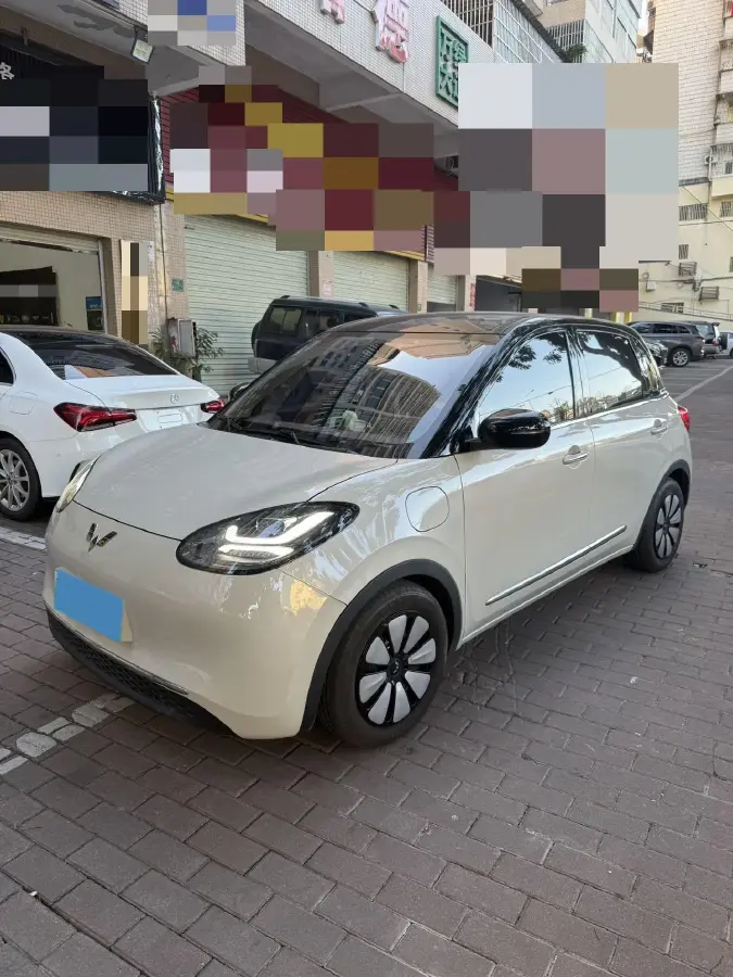2024 WuLing BinGuo BEV 31.9KWH