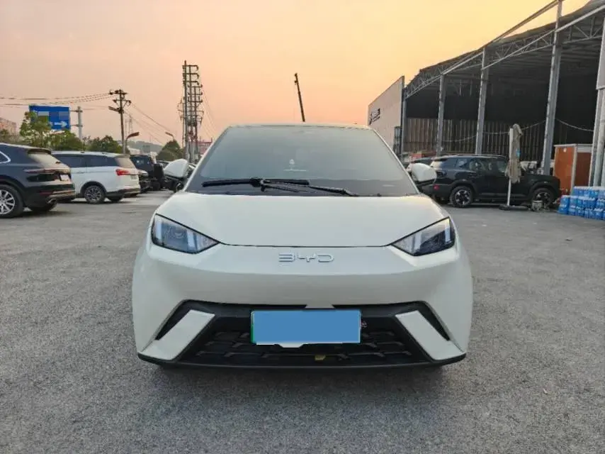 2024 BYD SEAGULL thumbnail 3