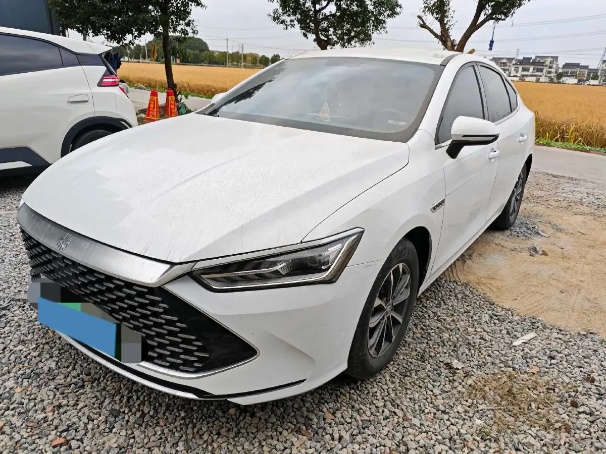 2021 BYD e2 BEV 43.2KWH