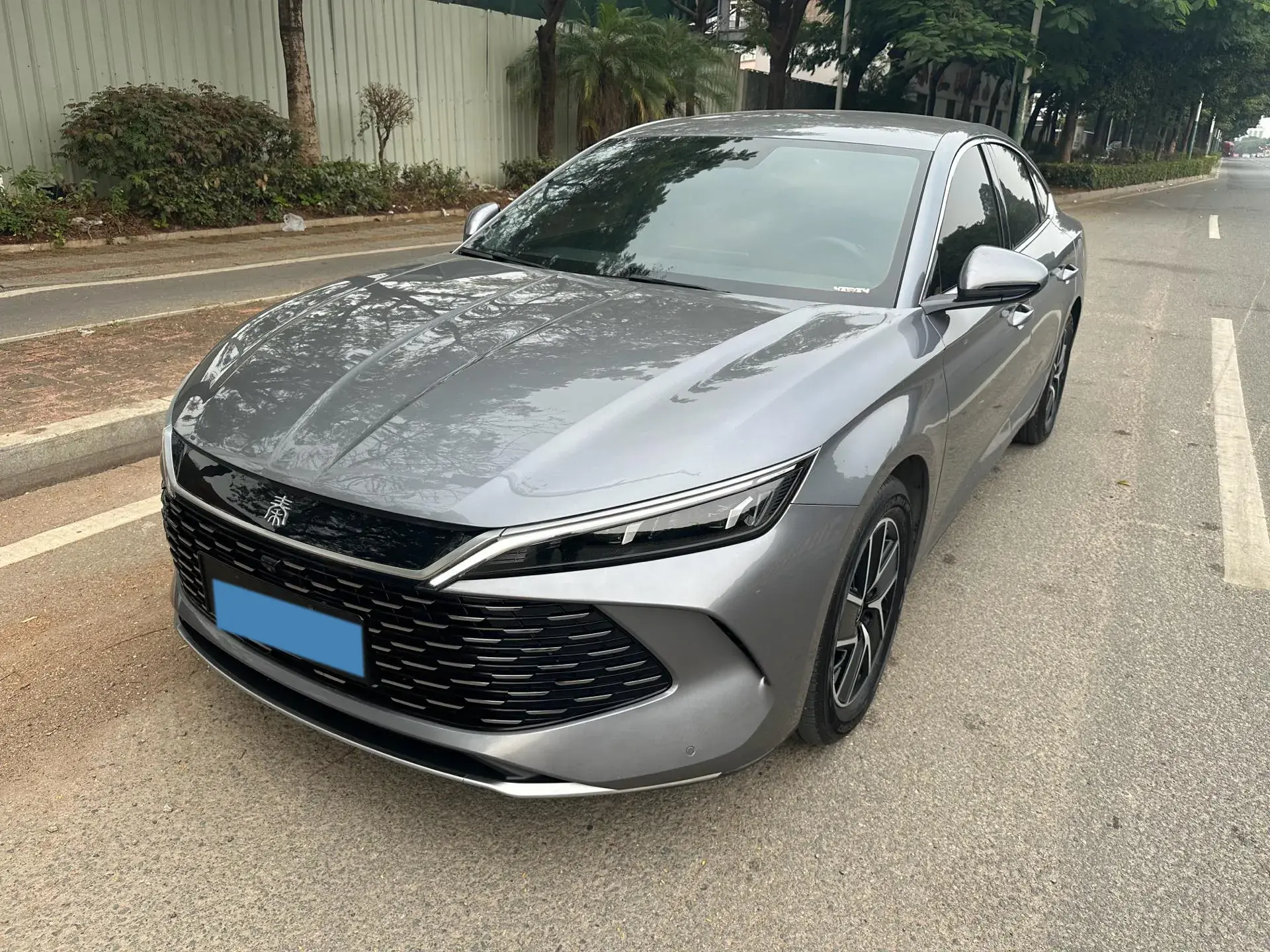 2024 BYD QINL view 1