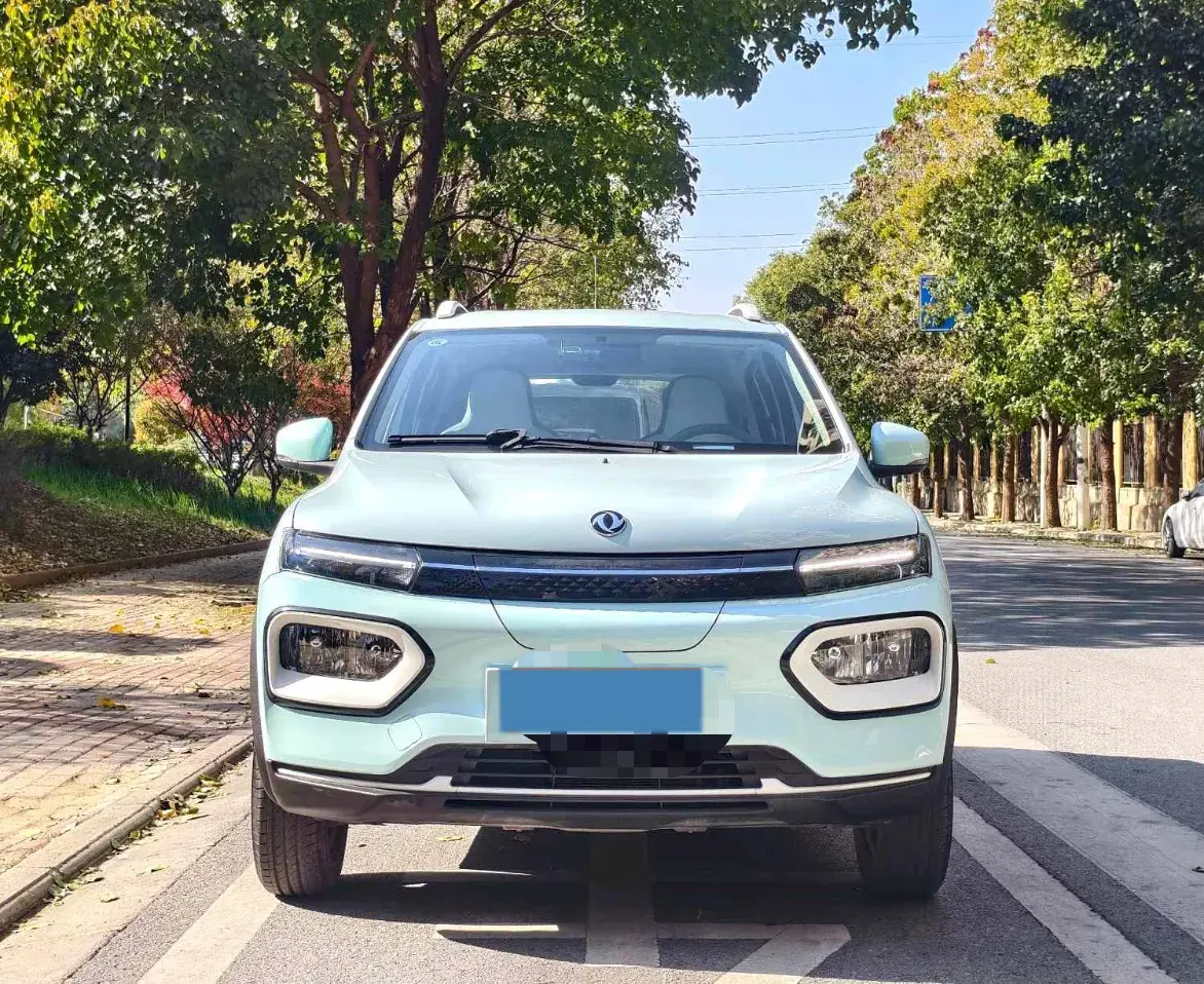 2022 DONGFENG NAMMI thumbnail 3