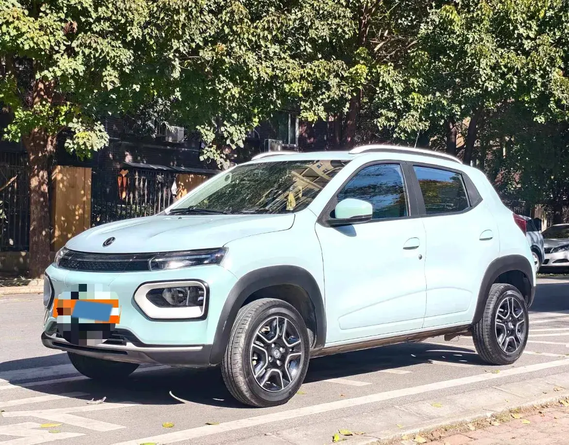 2022 DONGFENG NAMMI view 1