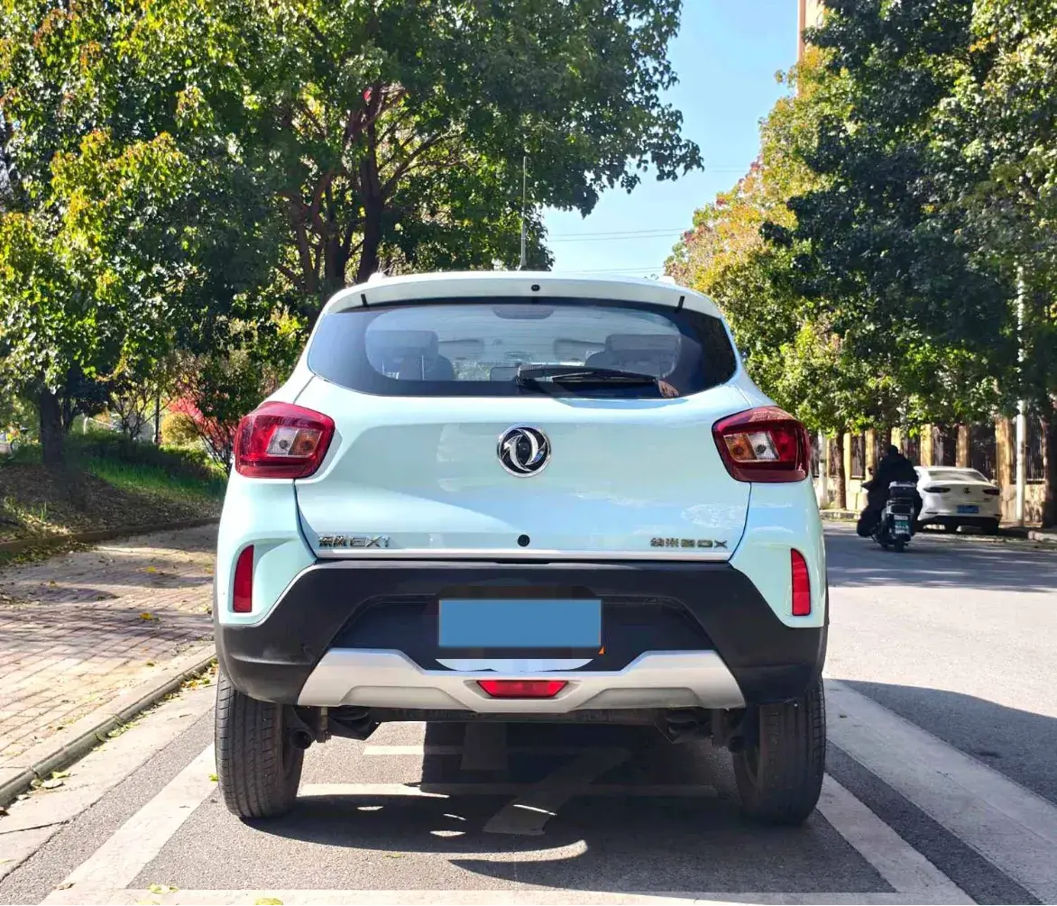 2022 DONGFENG NAMMI thumbnail 2