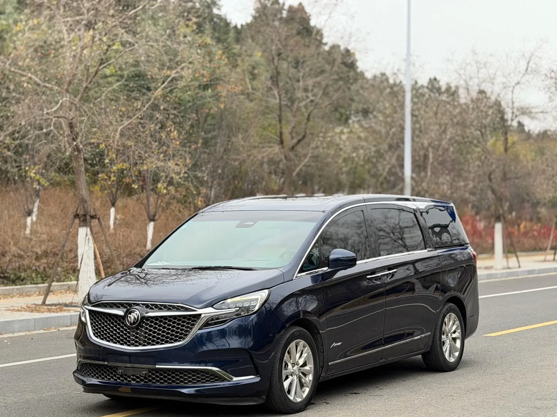 2020 BUICK GL8 view 1