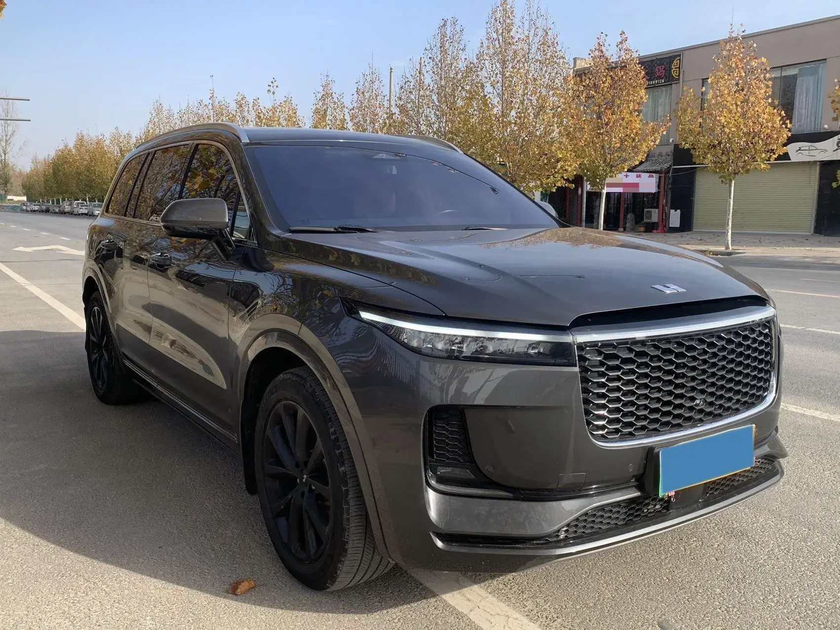 2021 LI ONE thumbnail 3