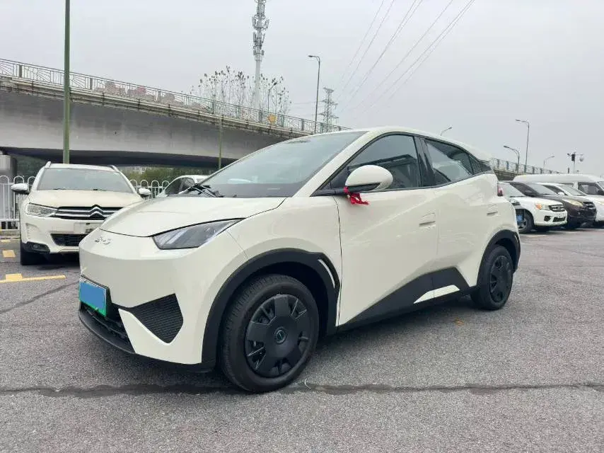 2025 BYD SEAGULL view 1