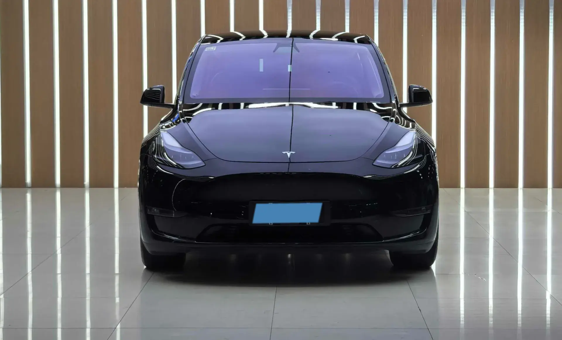 2021 TESLA MODEL thumbnail 2