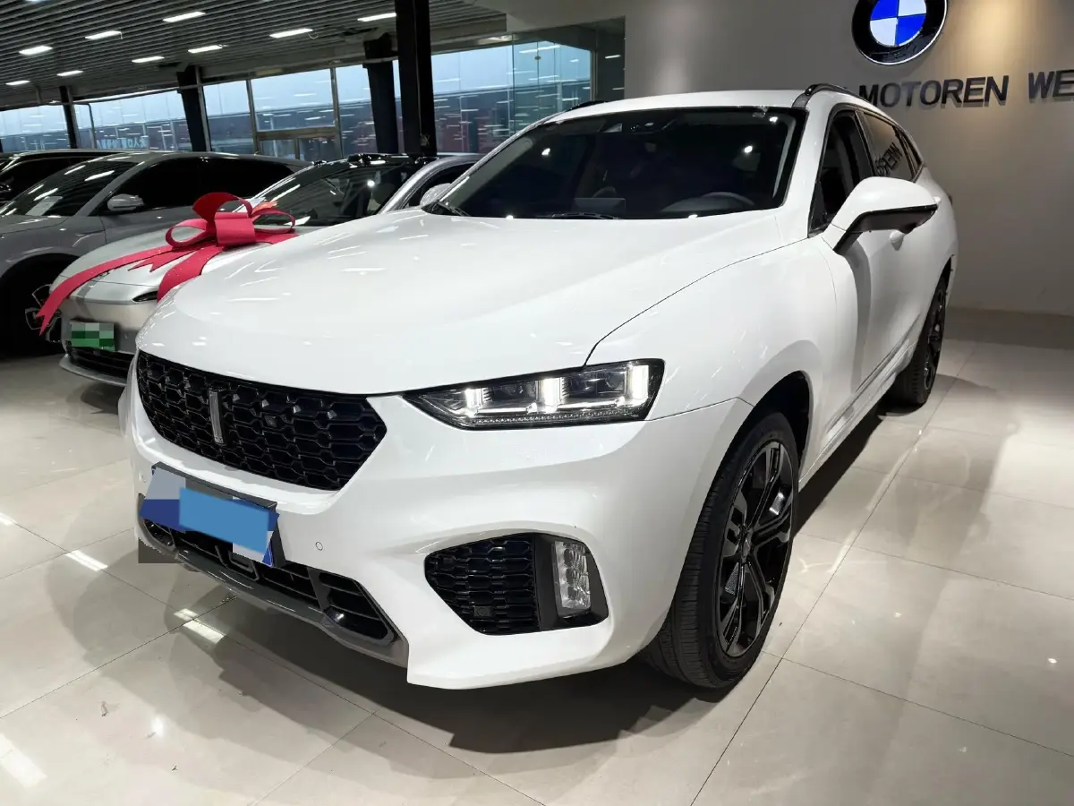 2019 WEY VV7 2.0T 227HP L4 7DCT