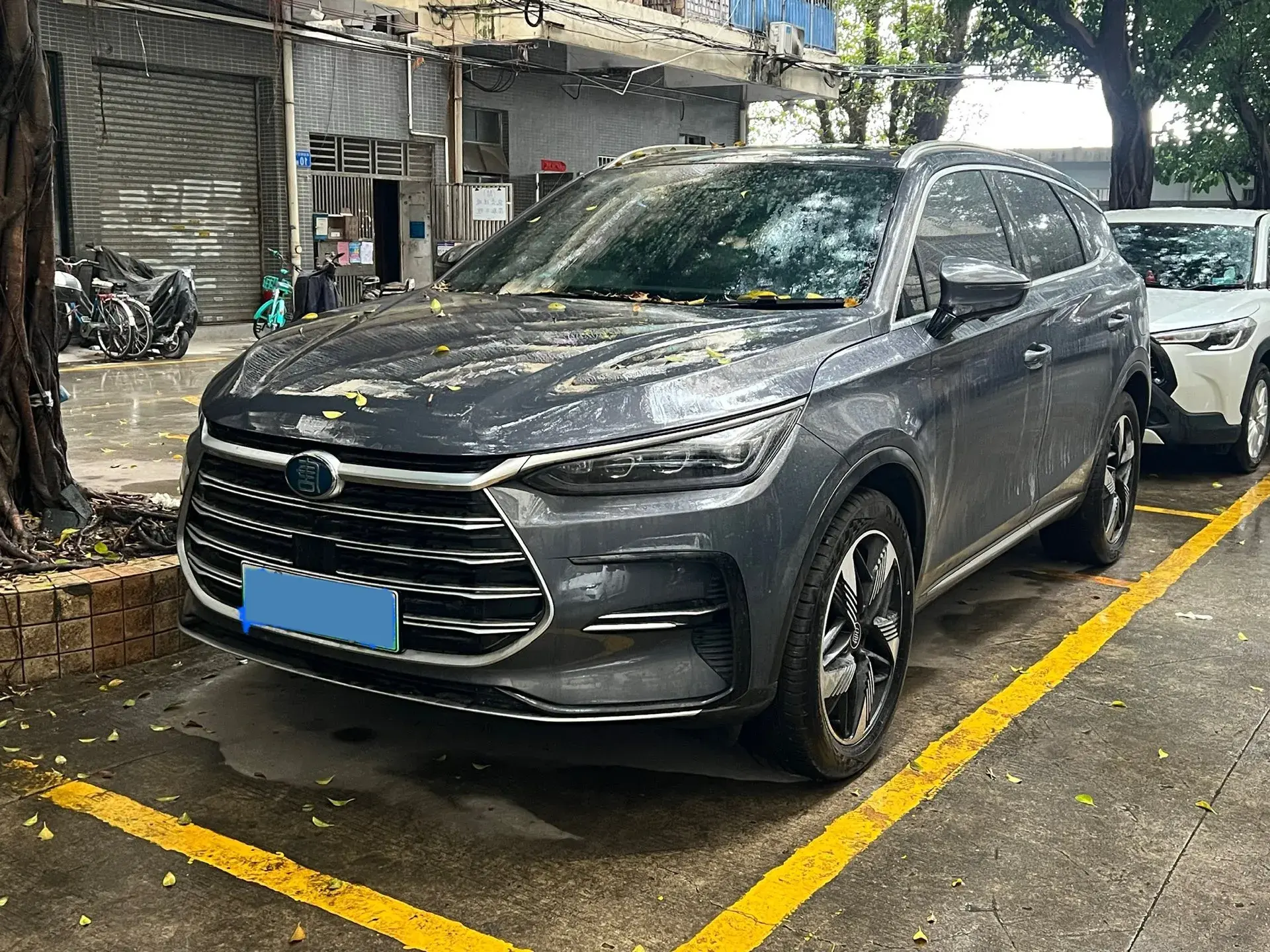 2023 BYD TANG view 1
