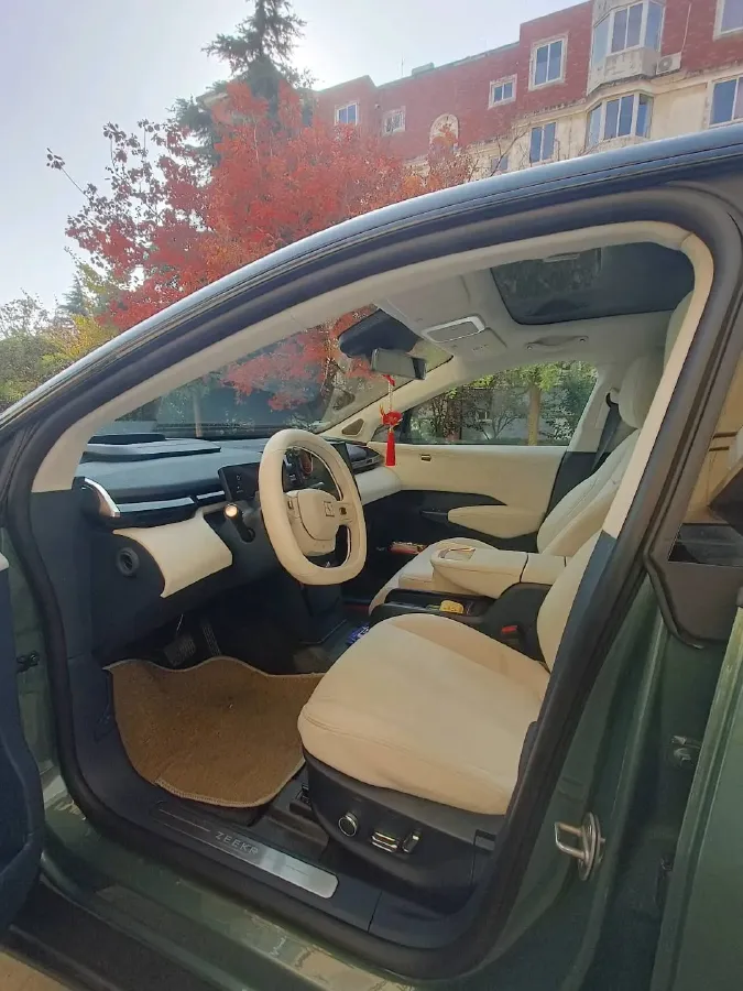 2023 Zeekr X BEV 66KWH,autocango,china used car exporter,china ev exporter,chinese used car exporter,chinese used ev exporter