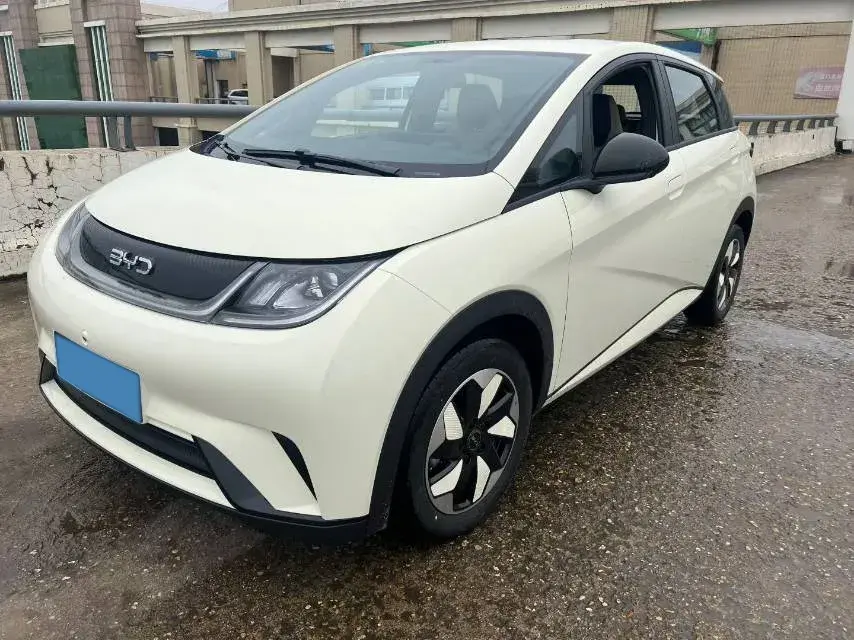 2025 BYD DOLPHIN view 1