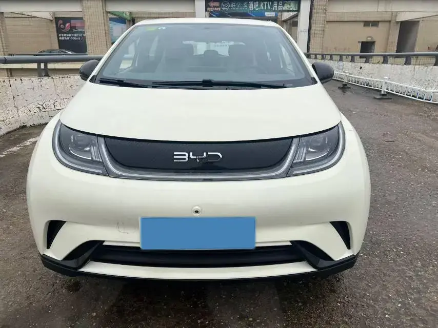 2025 BYD DOLPHIN thumbnail 2