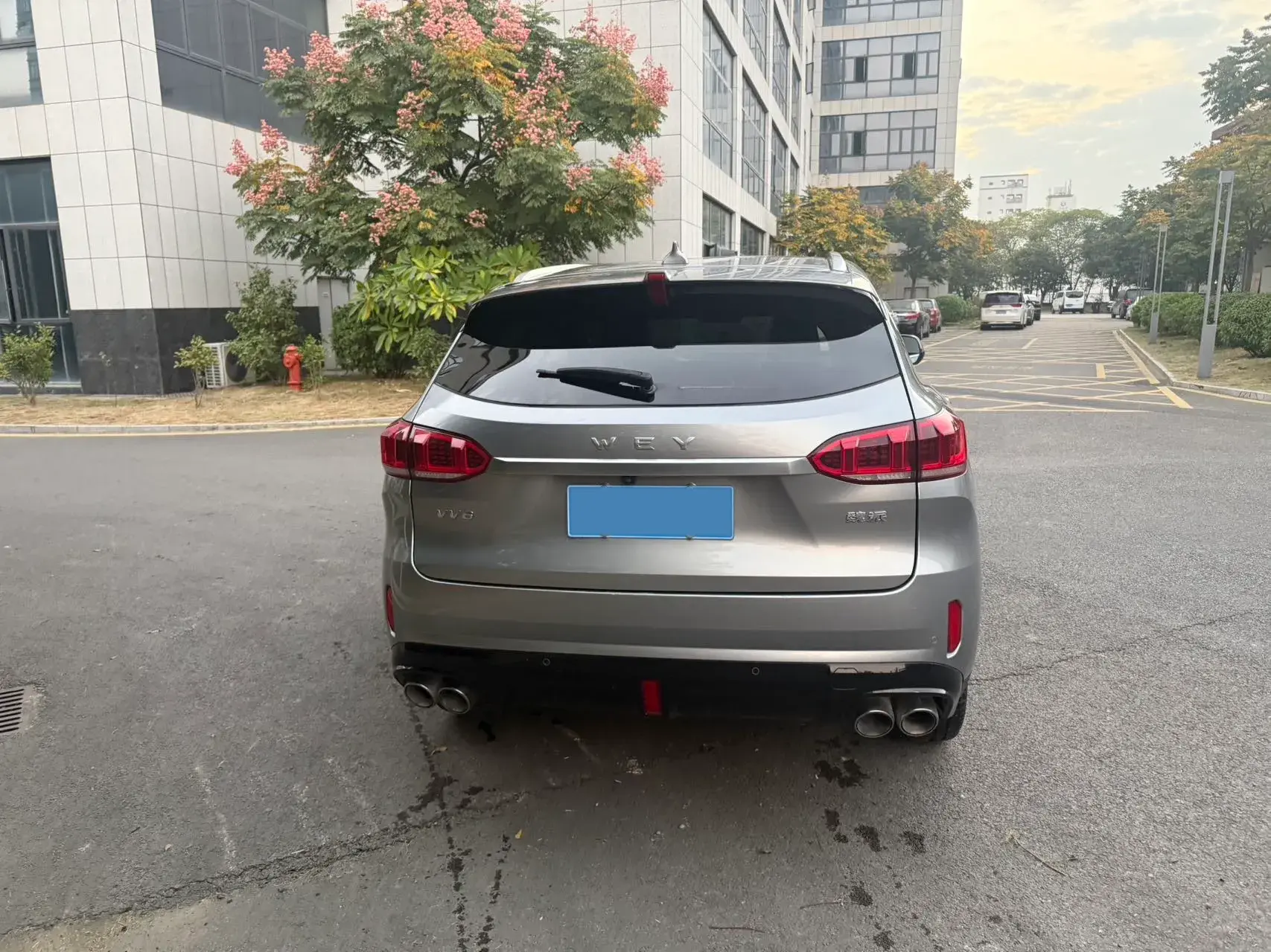 2020 WEY VV6 thumbnail 3