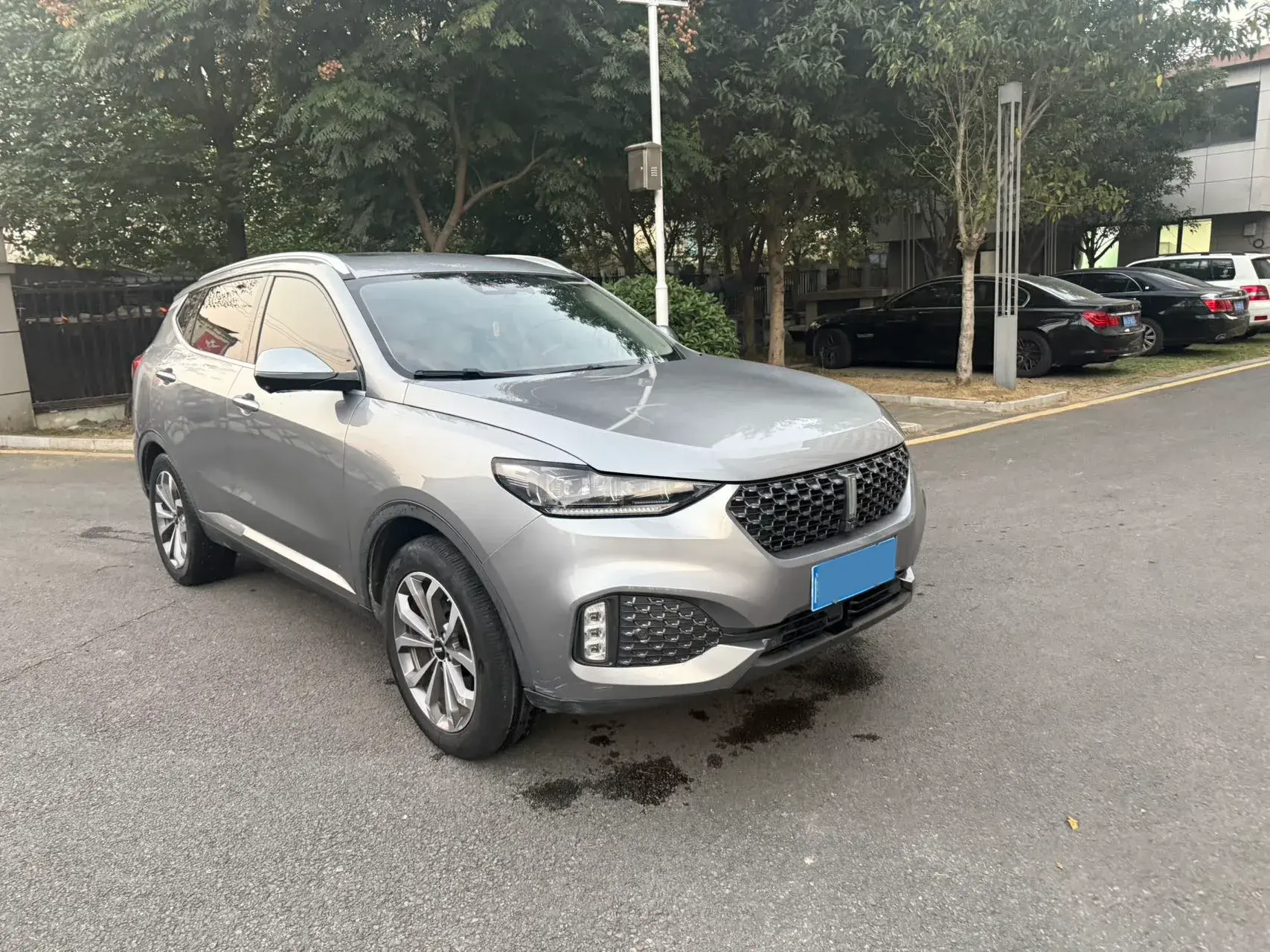 2020 WEY VV6 thumbnail 4