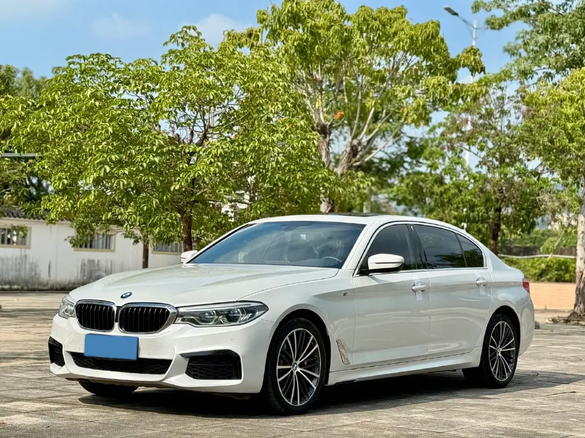 2020 BMW 5 Series 2.0T 252HP L4 8AT