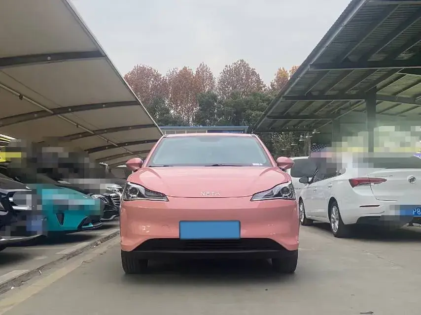 2021 NETA V thumbnail 2