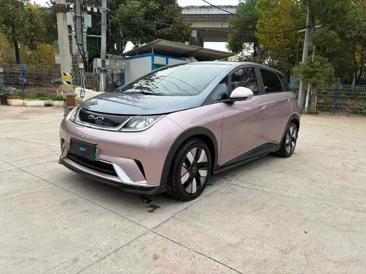 2021 BYD e2 BEV 43.2KWH