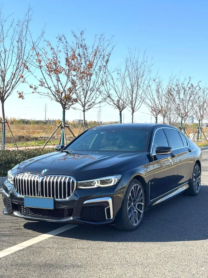 2021 BMW 7 Series 3.0T 340HP L6 8AT,autocango,china used car exporter,china ev exporter,chinese used car exporter,chinese used ev exporter