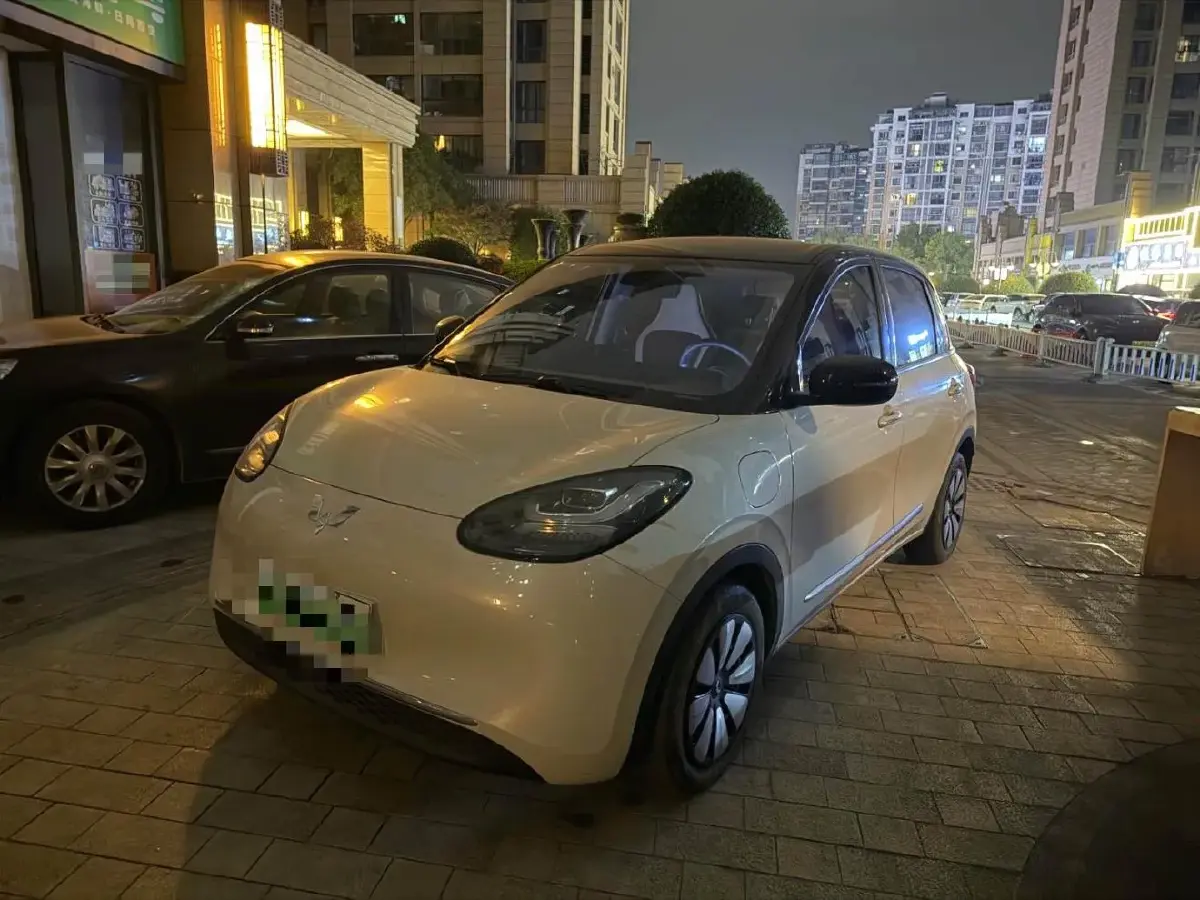 2023 WuLing BinGuo BEV 37.9KWH