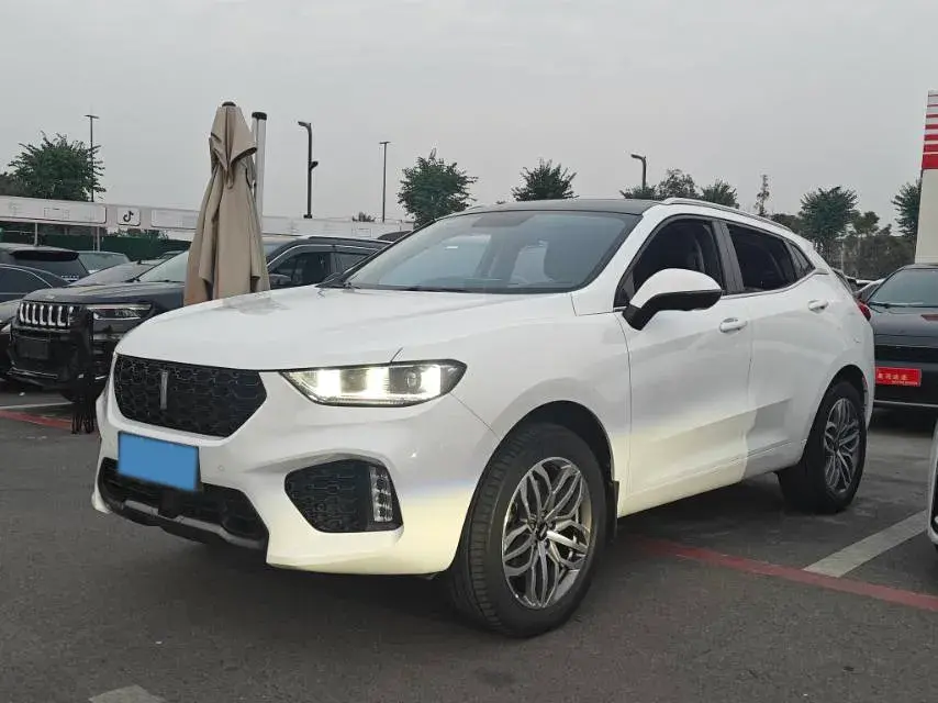 2019 WEY VV5 2.0T 224HP L4 7DCT