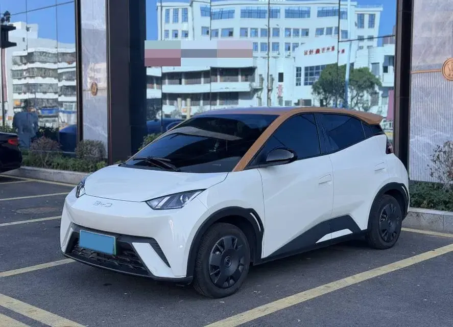 2024 BYD SEAGULL view 1