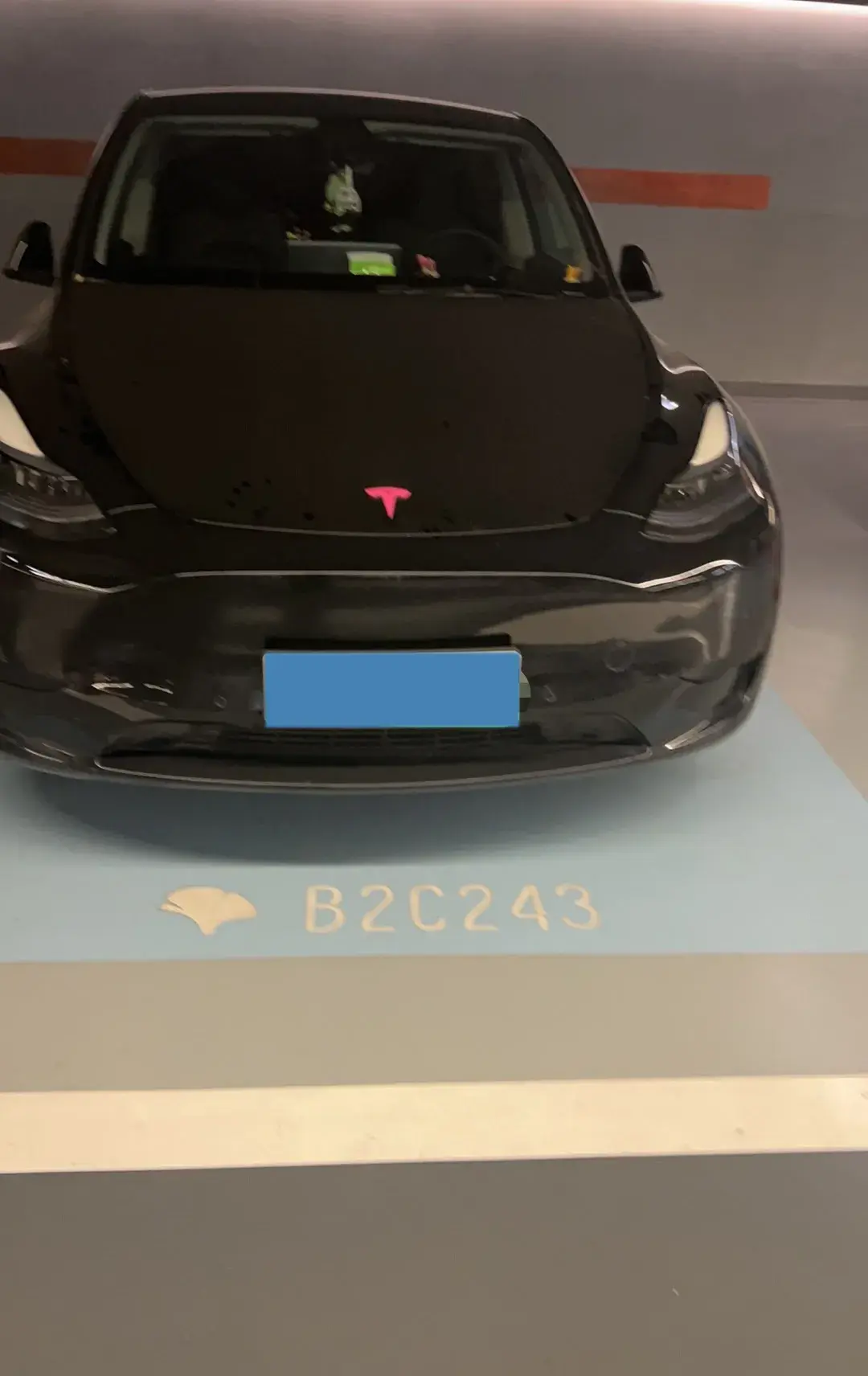 2022 TESLA MODEL thumbnail 2