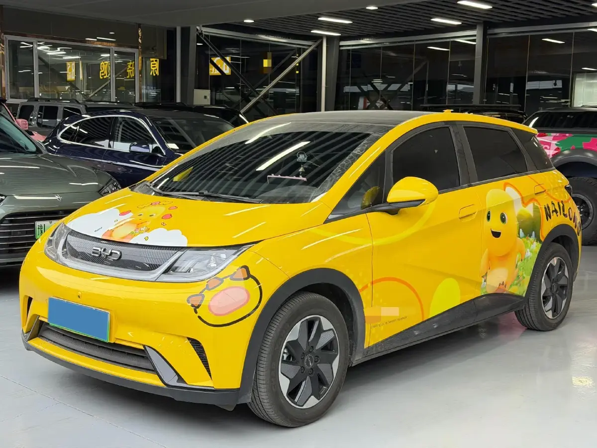 2024 BYD Dolphin BEV 44.928KWH
