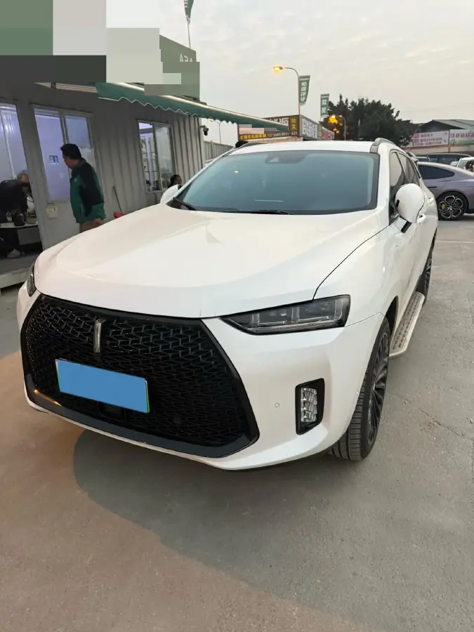 2018 WEY P8 2.0T 234HP L4 6DCT PHEV 12.96KWH