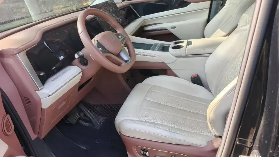 2025 BYD XIA thumbnail 4