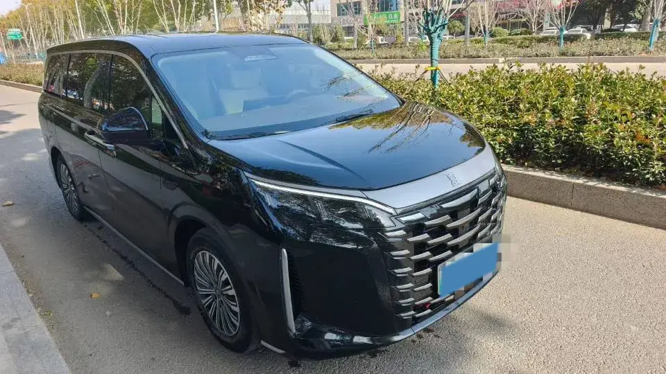 2025 BYD XIA thumbnail 3