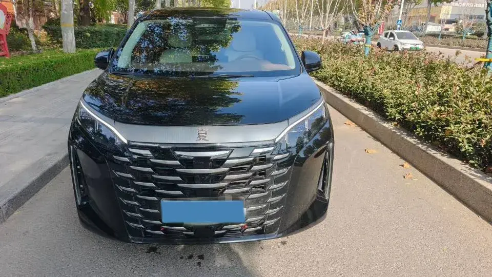 2025 BYD XIA thumbnail 2