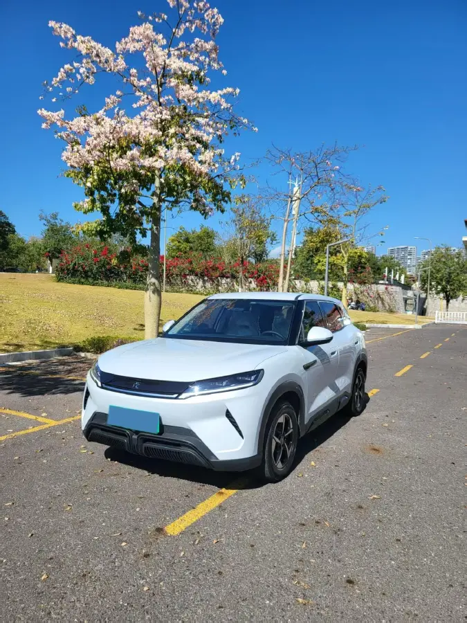 2024 BYD YuanUP BEV 32KWH