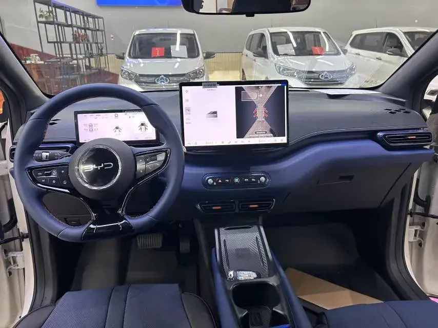 2025 BYD SEAGULL thumbnail 4