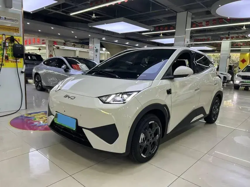 2025 BYD SEAGULL view 1