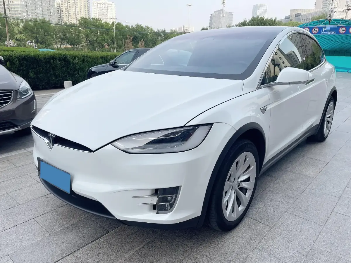 2019 Tesla Model X BEV 100KWH
