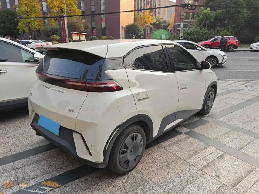 2024 BYD SEAGULL thumbnail 2