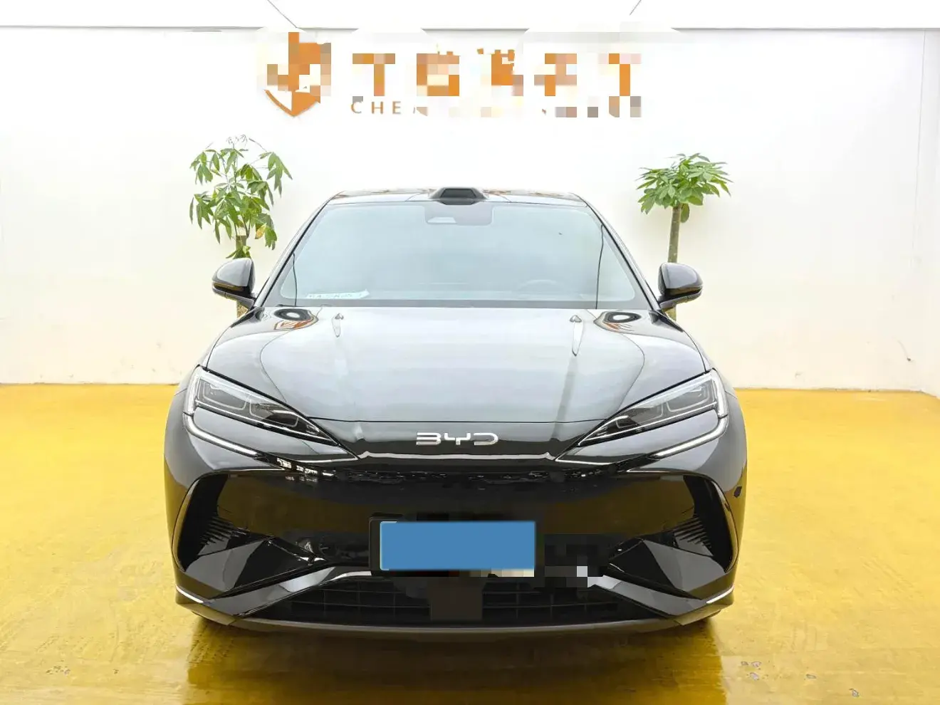 2025 BYD SEA thumbnail 2