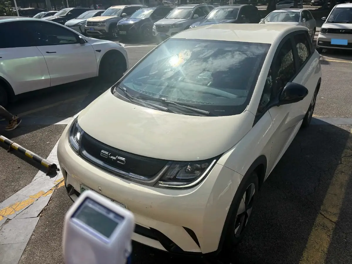2023 BYD Dolphin BEV 44.928KWH