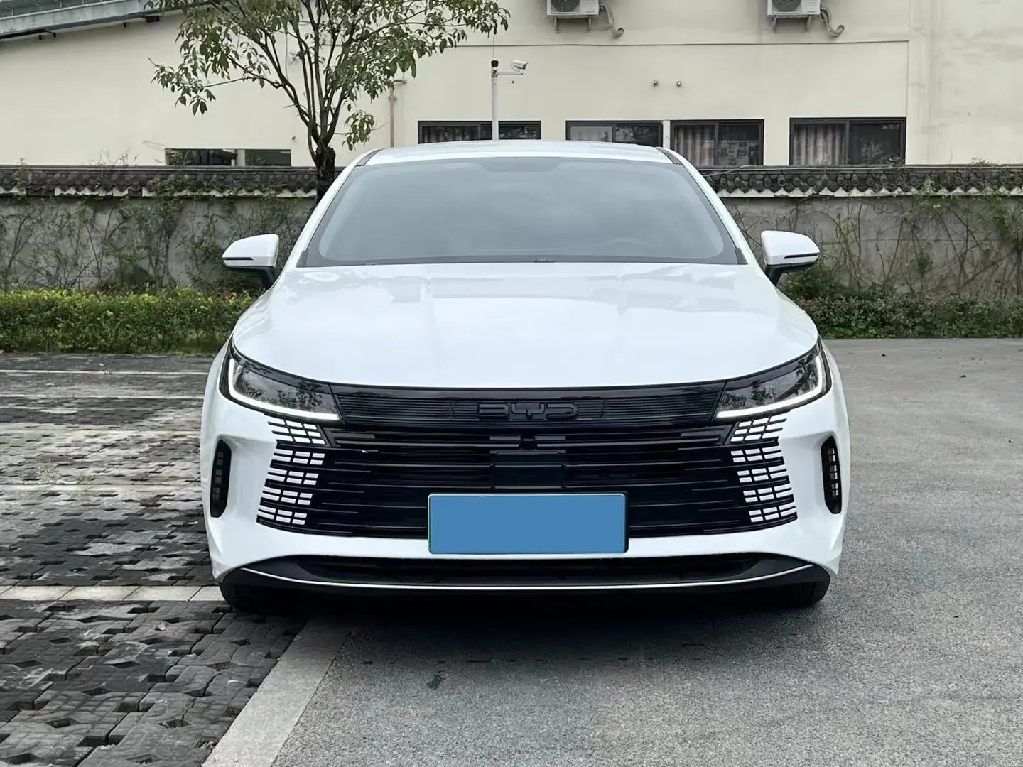 2023 BYD DESTROYER thumbnail 2