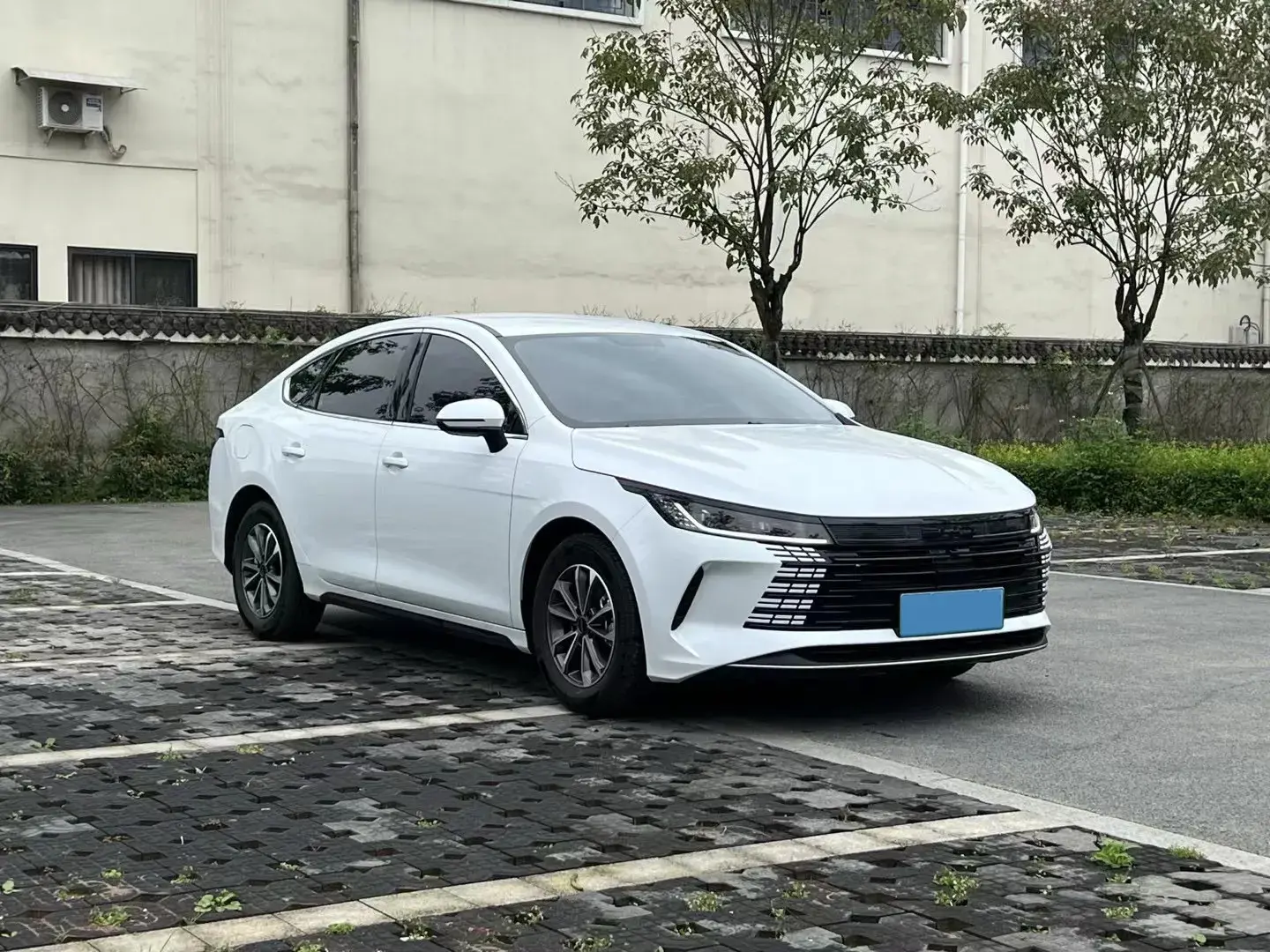 2023 BYD DESTROYER thumbnail 3