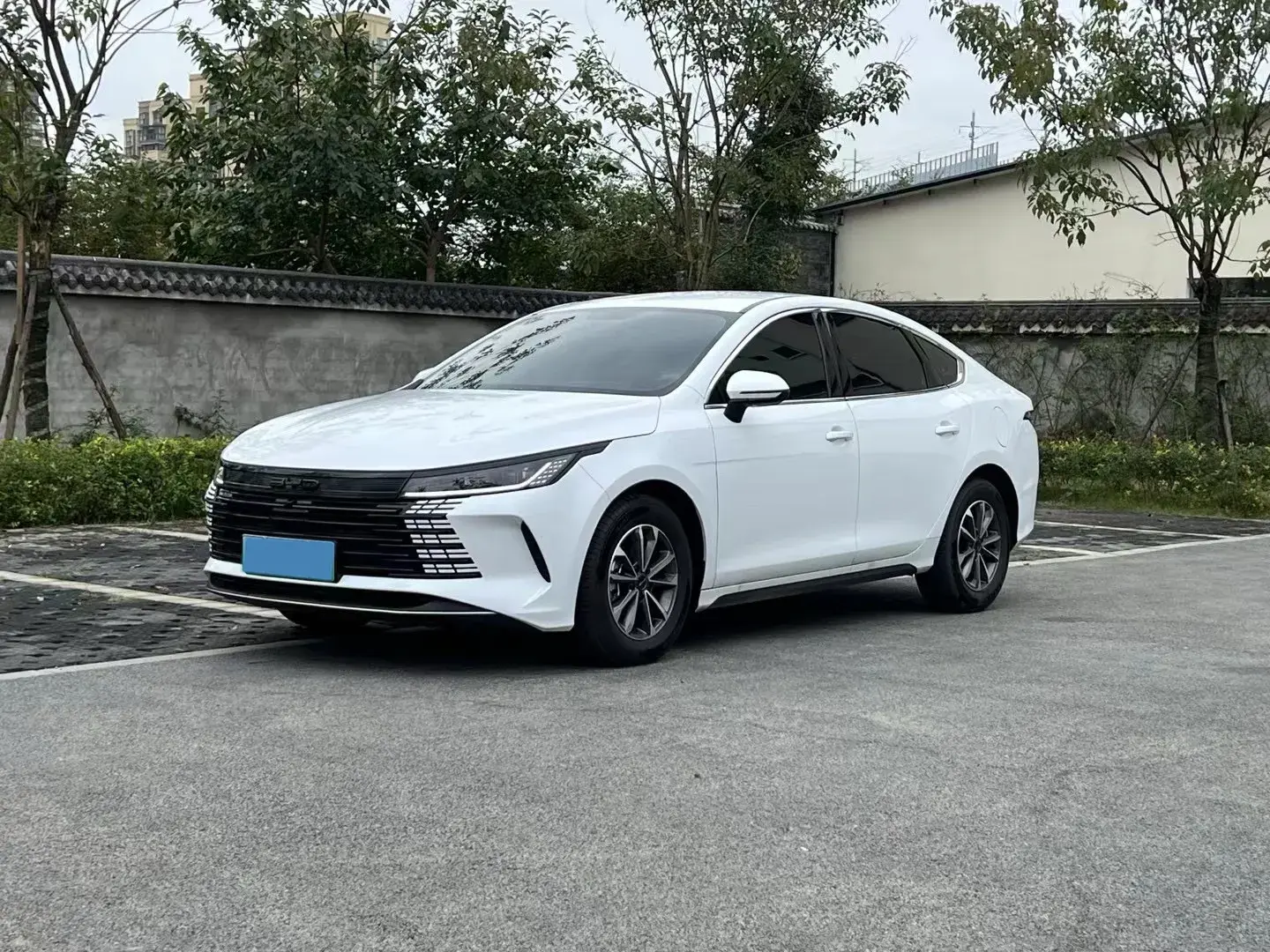 2023 BYD DESTROYER view 1