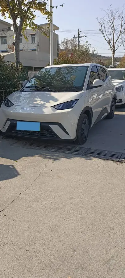 2025 BYD Seagull BEV 30.08KWH