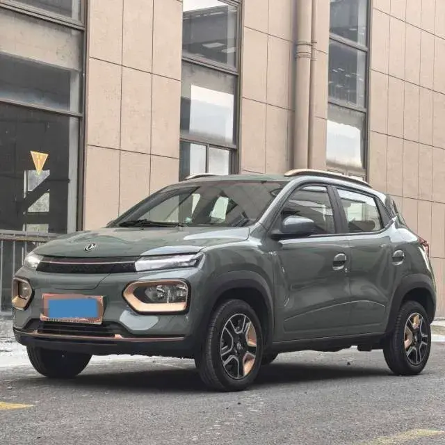 2022 DONGFENG NAMMI view 1