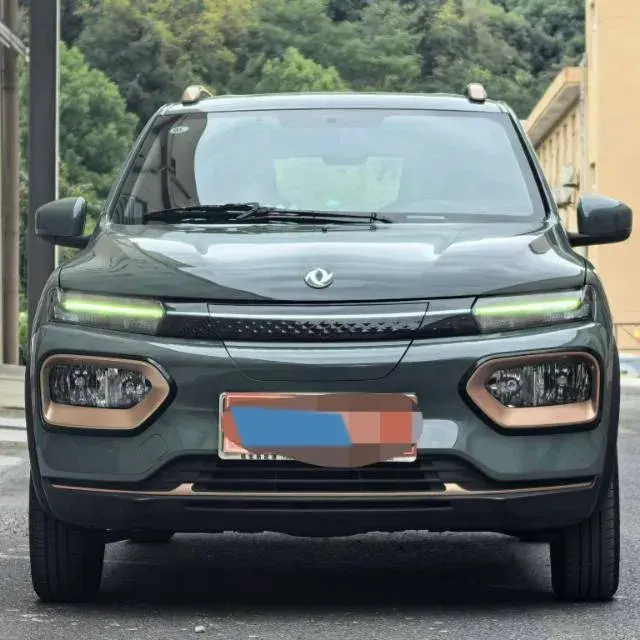 2022 DONGFENG NAMMI thumbnail 2