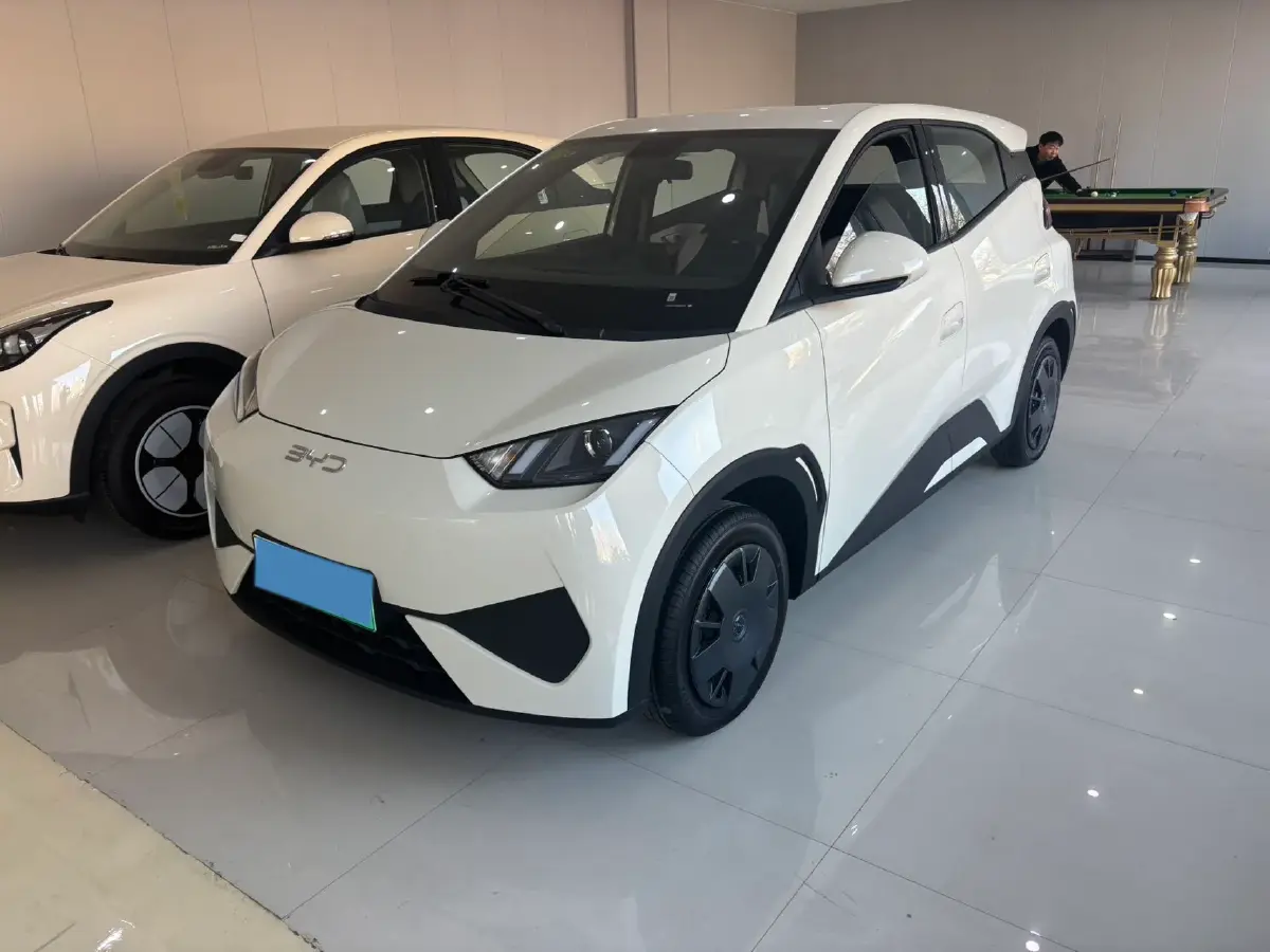 2025 BYD Seagull BEV 30.08KWH