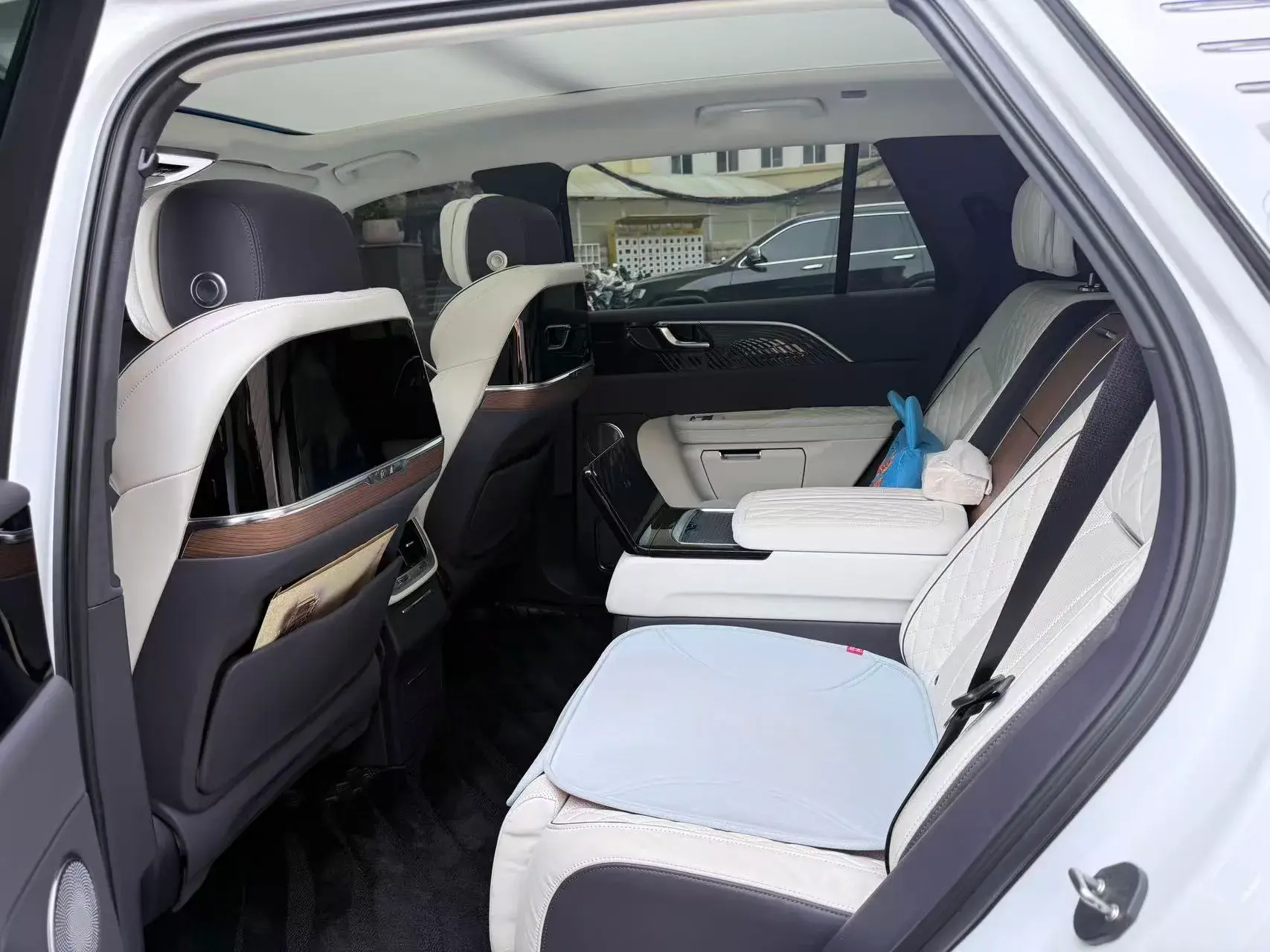 2022 HONGQI E-HS9 thumbnail 4