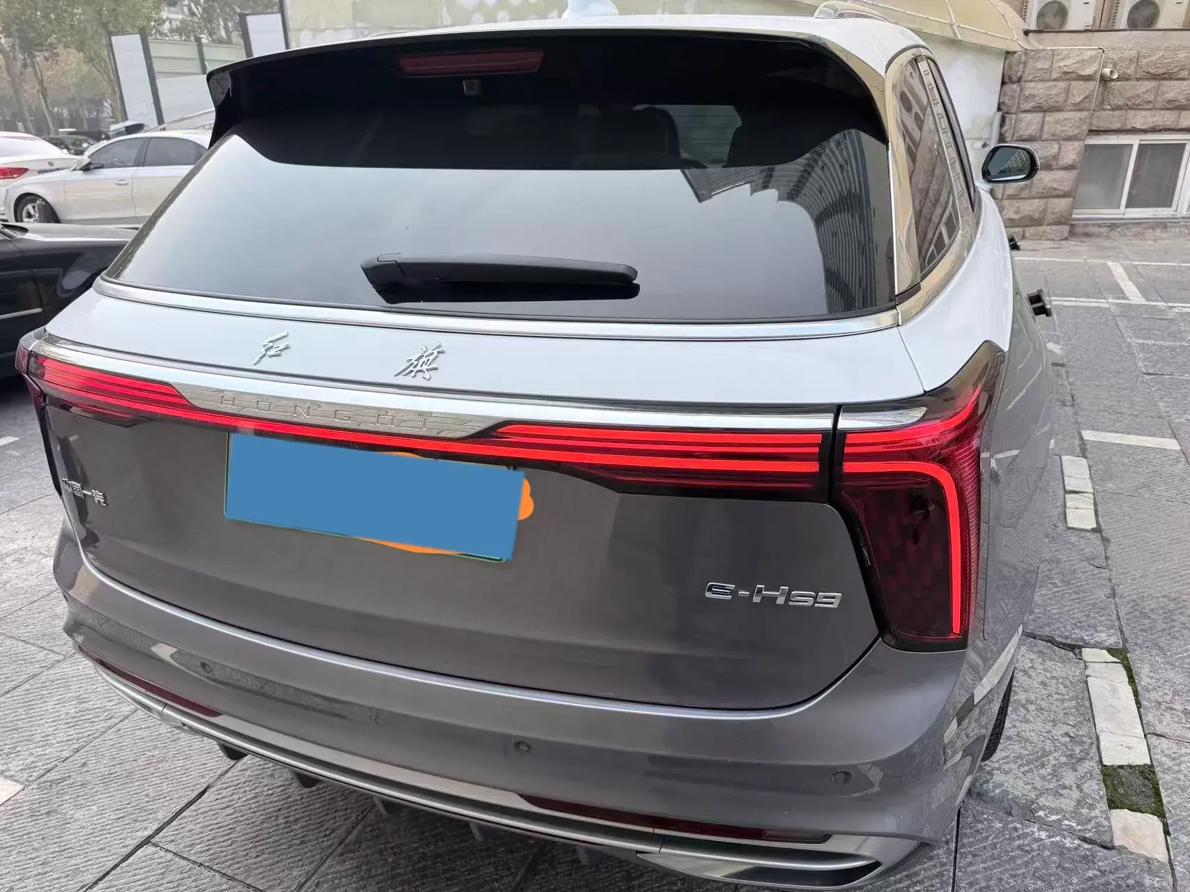 2022 HONGQI E-HS9 thumbnail 2